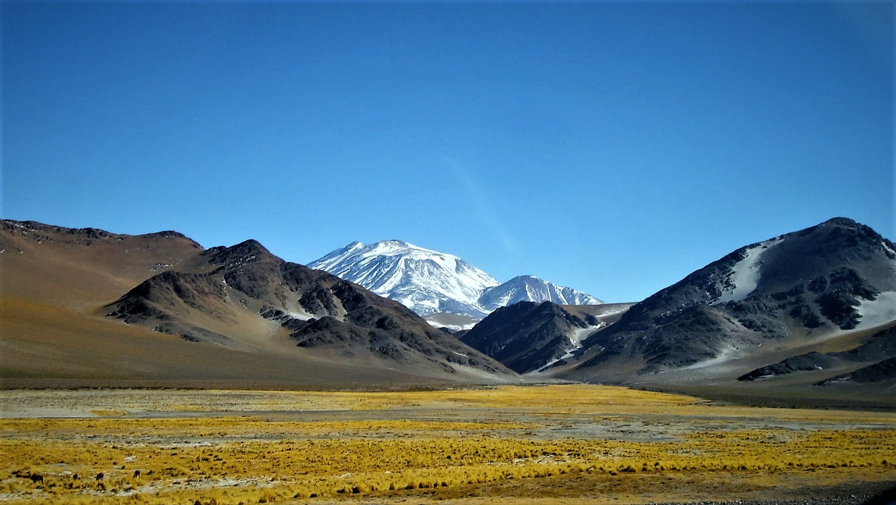 Tour Paso de San Francisco y los Seismiles